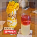 목련양과 이미지