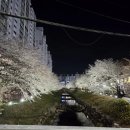신복돼지갈비 네이버블로그