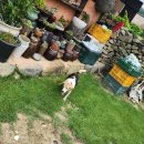 재성민박 이미지