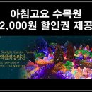 솔모닝