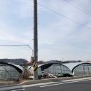 은주농장 이미지