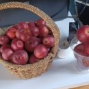 용우외가농장 이미지