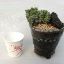 귀천농장 이미지