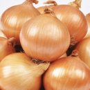 팀스톤짐 이미지