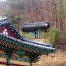 신흥사대웅전 Daum카페