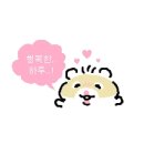 르코르셋