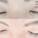 더데일리펫샵 이미지