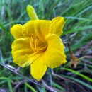 공공용 35 이미지