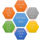 마이크로 러닝-90초 고효율학습 이미지