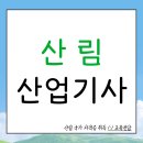 산림산업 | 산림산업기사 자격증 취득했던 후기