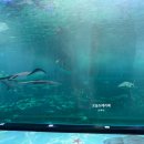 부영목장 이미지