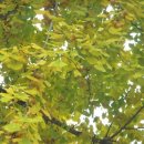 해맞이목장 이미지