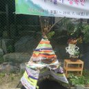 만인산 유아숲체험원 이미지