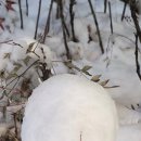 보물창고 이미지