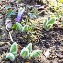 산성길63(사라진 봄, 25/03/29, 단공-양공-불망비-공예관-단공, 아득히 먼 곳 / 이승재) 이미지