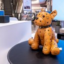 세화코리아 이미지