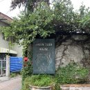 그린하우스 | 치앙마이 호텔 추천: 그린타이거하우스 장단점후기(수영장/조식)