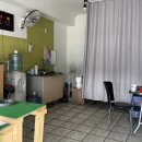 보령청과 이미지