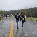 바다마중 이미지