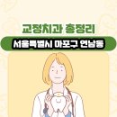 서울특별시 마포구 연남동 교정치과 총정리