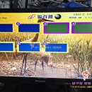 빌리 당구장 이미지