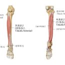 트라이핏 이미지