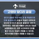 프라임 동물병원 앞 이미지