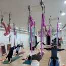 차크라요가명상센터 | 차크라요가 남양주센터 후기｜평내동요가로 찾은 새로운 운동 루틴