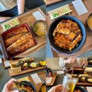 동경 | 제주 애월 맛집 동경밥상 솔직후기｜우나쥬 특상과 히츠마부시 추천