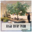 카페 지금, 좋은날 | 영종도 대형 베이커리카페 지금이곳 아이랑 가기 좋은 넓은 감성카페 솔직후기