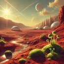 발산에이스약국 | 캐시닥 용돈 퀴즈 정답(3월 20일)