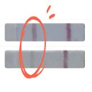 선보약국 | 배란테스트기 덕분에 임신성공 사용법 및 원포와 스마일배테기 비교후기