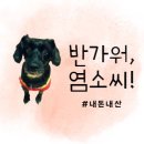 키즈빌리지유치원 | 아이들 놀기 좋은 남양주 별내 키즈카페 오즈빌리지 방문후기