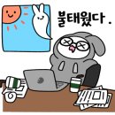 쉬즈베이글 이미지