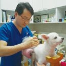 정원 양한방동물병원 이미지