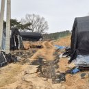 부여 관음사지 이미지