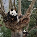 옆집언니 이미지