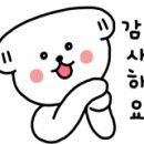 키즈포레유치원 이미지