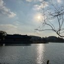 부들공원 | 전주 덕진공원 숲놀이터 아이랑 가볼만한곳 추천