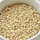 케이불스 휘트니스 이미지