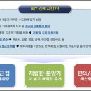 팰리스독