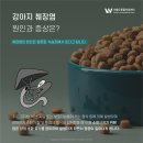 더블유동물의료센터 이미지