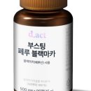 마카오래 이미지