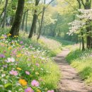 중산자연휴양림(산청) 이미지