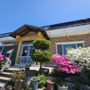 강릉 내곡동 맛집 가마솥흑염소 후기｜국내산 흑염소 몸보신 제대로 되는 집#덕산박철수교수 #박철수...