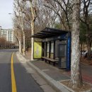 중앙공원.양지마을청구아파트 이미지