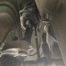 애니카랜드 서구점 이미지