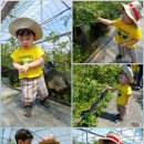 가연농장 이미지