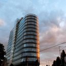 도약 행정사 사무소 이미지