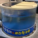 마산합포구 ⓔ-27 | 마산 댓거리 맛집 산지직송 갓 잡은 오징어와 바다친구들 내돈내산